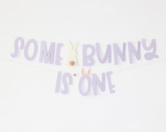 Some Bunny is One Banner: Spring Easter First Birthday