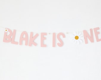 Daisy Birthday | Daisy Birthday Banner | Daisy Birthday Sign | Retro Birthday | Flower Power Birthday | Custom Birthday Banner | Daisy Party