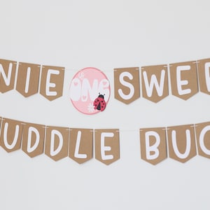 Puede incluir: Una pancarta con las palabras "ANNIE SWEET CUDDLE BUG" en letras blancas sobre banderines marrones. Un círculo rosa con la palabra "ONE" y una mariquita en el centro. Recortes de mariquitas a cada lado.