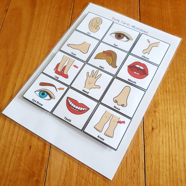 Body Parts Matching, Printable, Busy Book Page, Match The Parts Of Body, Homeschool Worksheet, Toddler, Preschool and Kindergarten Activity