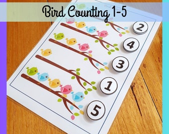 Bird Counting Printable: Homeschool Math Worksheet (Digital Download PDF)