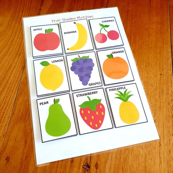 Fruit Shadow Matching Printable Busy Book Page Matching - Etsy