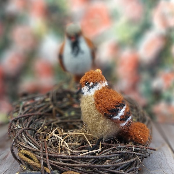 Crochet Pattern | Passer Montaus | Passeridae |  Sparrow | bird | Pdf | digital | Amigurumi | Birb | Realistic | crochet sparrow | birds