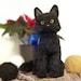 see more listings in the Patterns Cat section