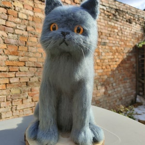 Britain cat | Handmade cat | personalized | Meme | British | Shorthair | grey | soft | Custom | Gift | Cat | Longhair | family | breeds