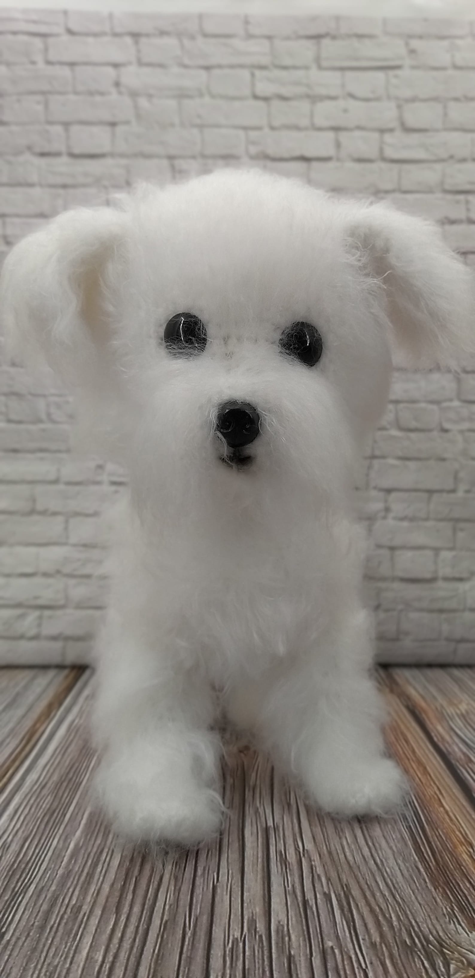 Crochet Patterns Dog Maltese Crochet Pattern Maltipoo Etsy Australia