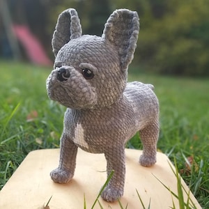 Bulldog cane / Cane all'uncinetto / Uncinetto / Cane schema uncinetto / Schema cane / Francese / Schema uncinetto / schema amigurumi / buldog / bulldog
