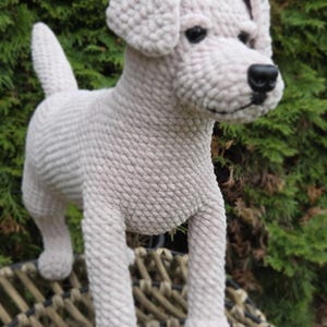 Könnte beinhalten: Hellgraue gehäkelte Hundefigur mit schwarzen Augen und Nase. Der Hund hat Schlappohren und einen leicht angehobenen Schwanz. Der Hund steht auf einer gewebten Oberfläche vor einem grünen Hintergrund.