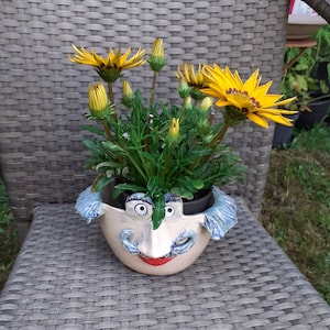 Könnte beinhalten: Eine gelbe und grüne Pflanze mit gelben Blüten in einem Keramiktopf, der wie ein Gesicht mit blauem Bart und roten Lippen geformt ist.