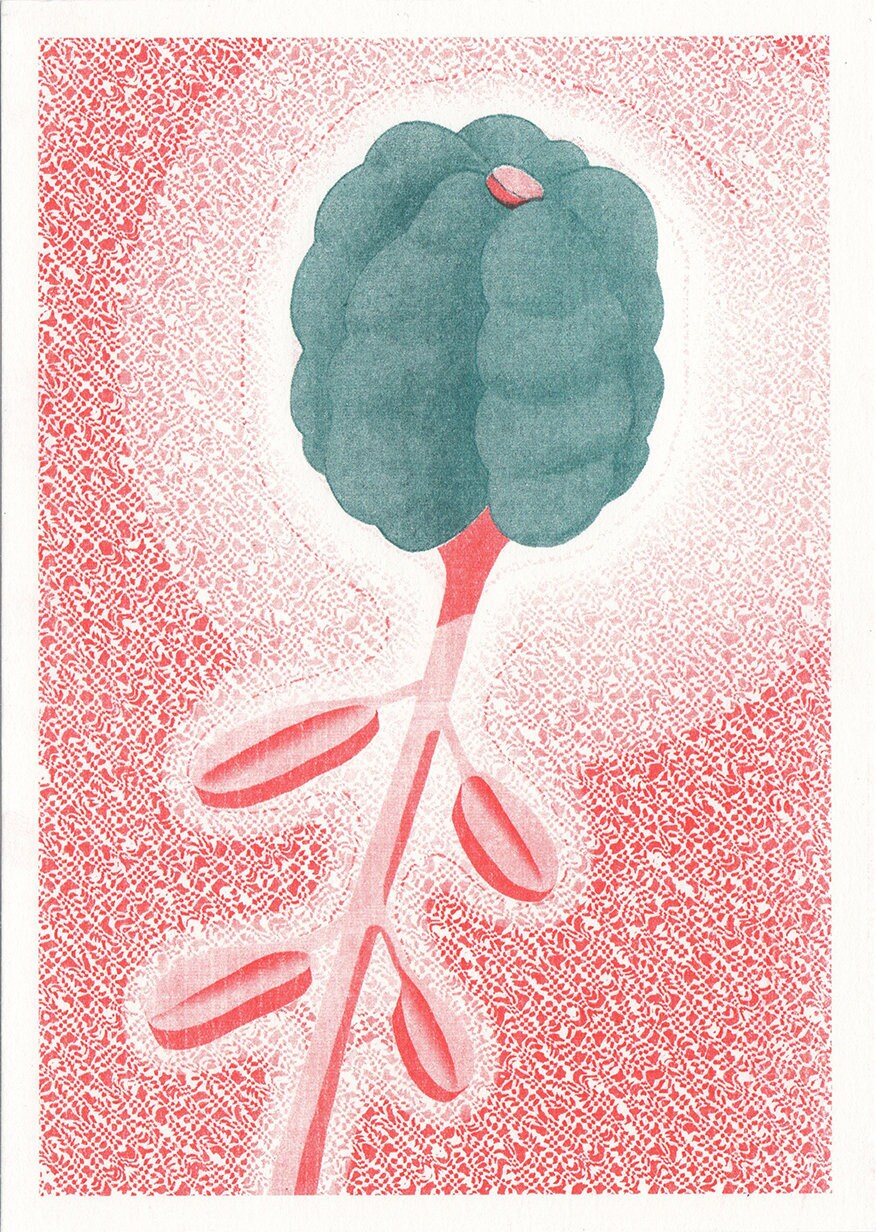 Plant Portrait 3 - Impression Deux Couleurs en Risographie