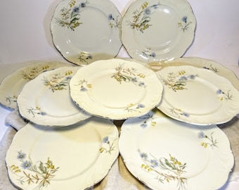 10 Assiettes Vintage Bavaria Corona Porcelaine millésime 1950