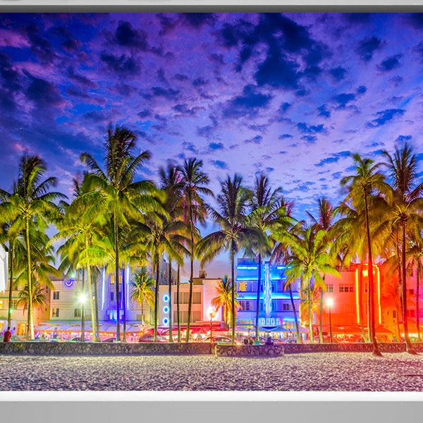 Travel Miami Beach Ocean Palm tree sunset Scenery backdrop birthday party background