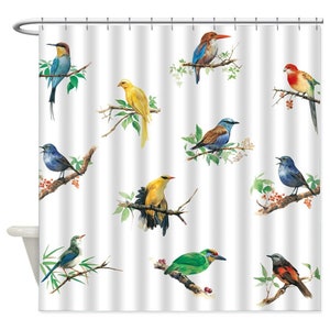 Fabric Bath Curtain Animal Bird Colorful Parrot Shower Curtain with Bath Rugs