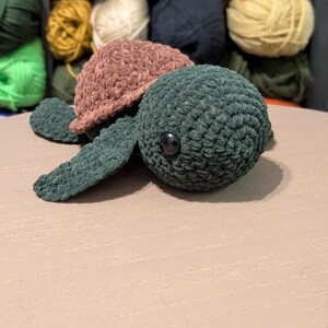 Schildpad