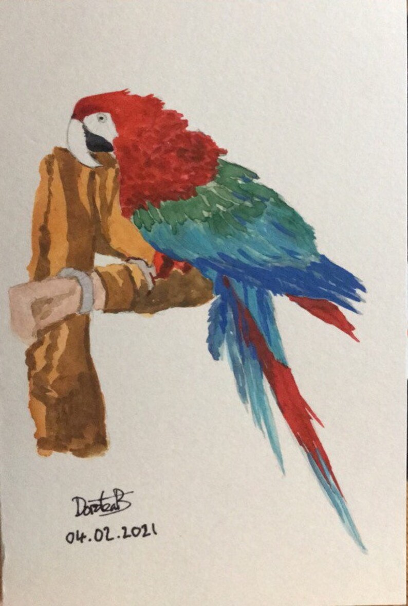 Places or Objects A4 or A5 Personalised Watercolour Paintings of Vehicles Pets