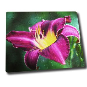 May include: A close-up of a vibrant purple lily flower with yellow pollen and a green background.
