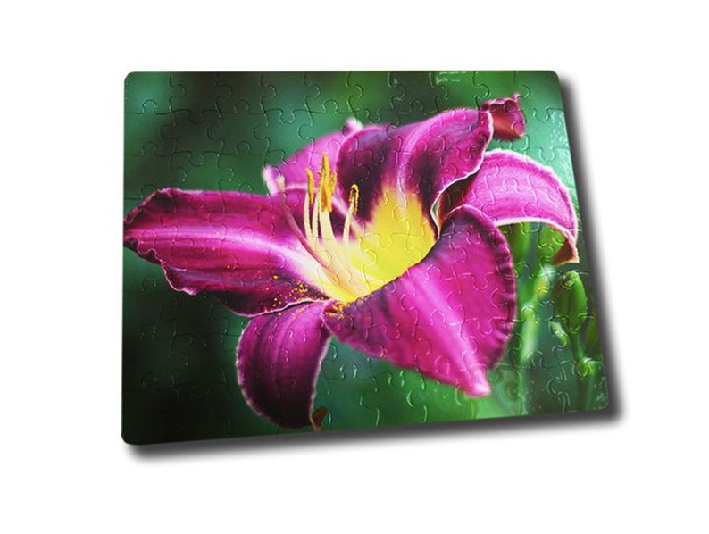 May include: A close-up of a vibrant purple lily flower with yellow pollen and a green background.