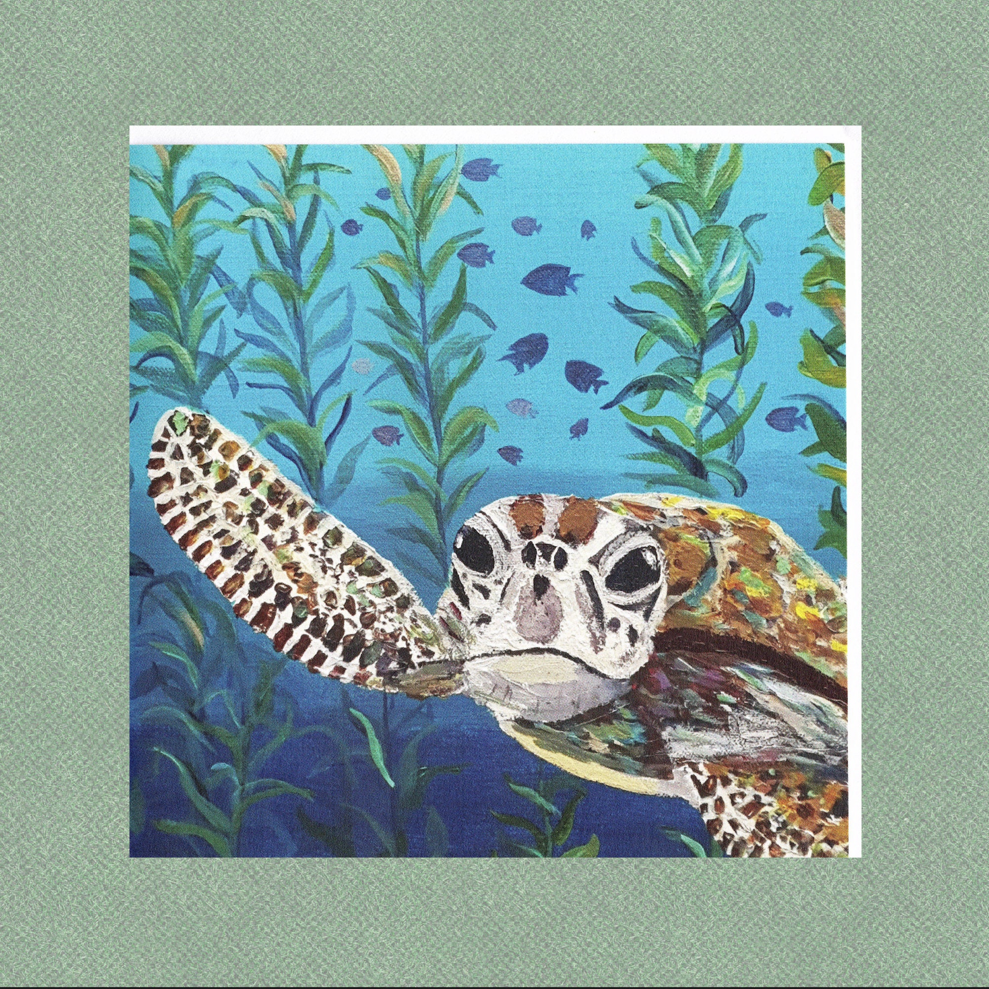 Sea Turtle Birthday Card cute Turtle Card Wife Turtle Card Male Blank ...
