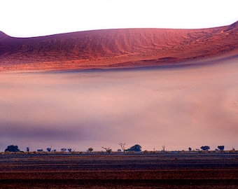 Photography from Namibia, dunes in Sossusvlei #5005, Africa, photo art, picture frames, canvas, like abstract paintings, wall pictures; decorative pictures