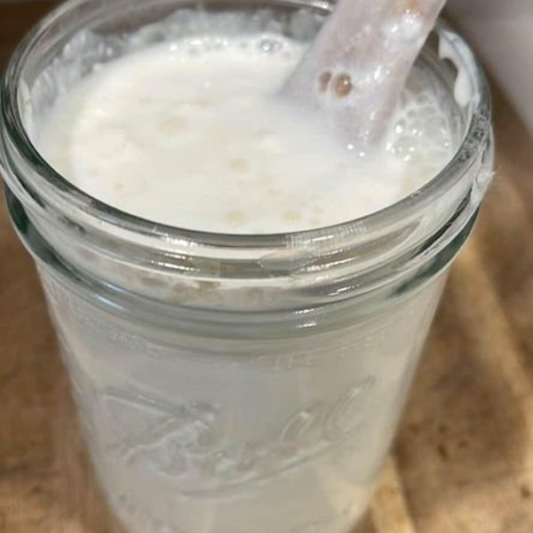 Raw Milk Kefir Grains (Grass Fed Organic)