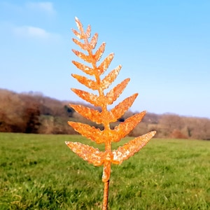 May include: A rusty metal fern leaf sculpture, standing tall in a green grassy field against a blue sky.