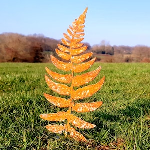 May include: A rusty orange metal fern leaf sculpture in a field of green grass. The sculpture is a silhouette of a fern leaf with a detailed design.
