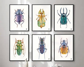 Beetles Art Prints Set of 6. Watercolor Bugs. Insects Wall Decor Insects home decor Colorful bugs art prints Beetles artwork Bugs Collection