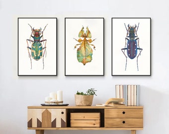 Beetle Watercolor Art Prints: Insect Wall Decor, Set of 3