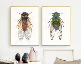 May include: Two framed illustrations of cicadas, one with red and black markings and the other with green and black markings. Both cicadas have translucent wings.