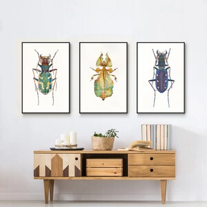 Beetle Watercolor Art Prints: Insect Wall Decor, Set of 3