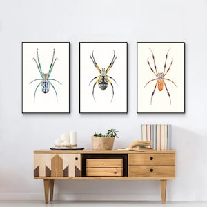 Spiders Set of 3. Watercolor Art prints. Spider wall decor. Insects art print. Beetles wall decor. Bugs art print. Spider illustration