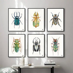 Beetles Art Prints Set of 6. Watercolor Bugs. Insects Wall Decor Insects home decor Colorful bugs art prints Beetles artwork Bugs Collectio