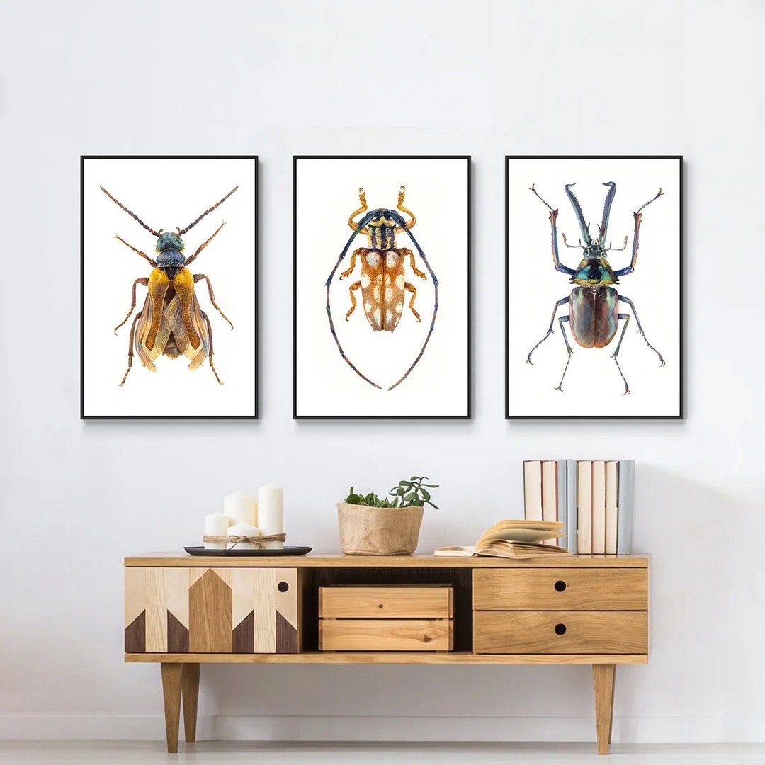 Beetles Set of 3. Prints From an Original Watercolor Painting. Insects ...