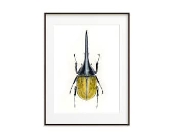 Hercules Beetle Watercolor Art Print: Insect Illustration