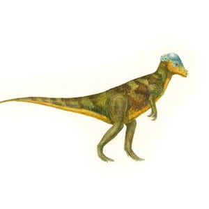 Dinosaur watercolor print. Dino poster Nursery decor. Dinosaur painting boys room wall art
