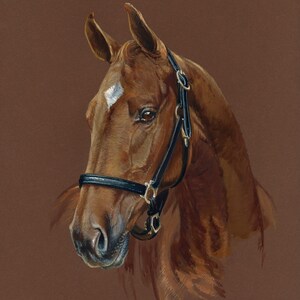 Stampa acquerello cavallo marrone. Arte rustica in stile rustico vintage. Bella illustrazione del cavallo. Ritratto di cavallo personalizzato Regalo per gli amanti dei cavalli