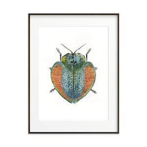 Insekten Wandbild. Kunstdruck. Aquarell Käfer. Insekten-Wand-Dekor. Insekten Illustration. Insekten Wohnaccessoires. Käfer Kunstwerk. Käfer Kunstdruck