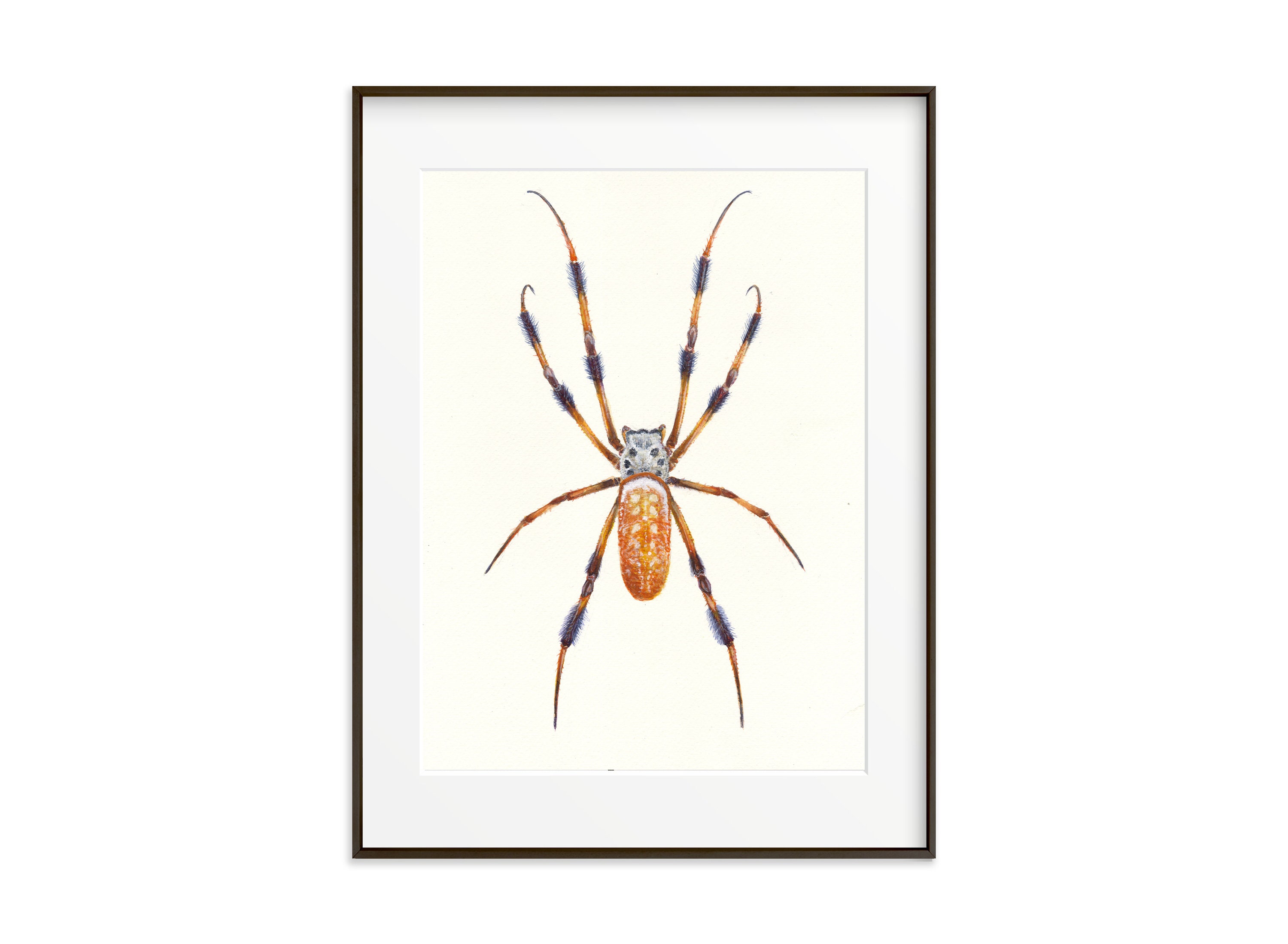 Golden Spider Silk - Etsy