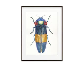 Insect Art Print. Watercolor Beetle. Insect Wall Decor. Insect illustration. Insect home decor. Colorful Bug Art Print Beetle wall art