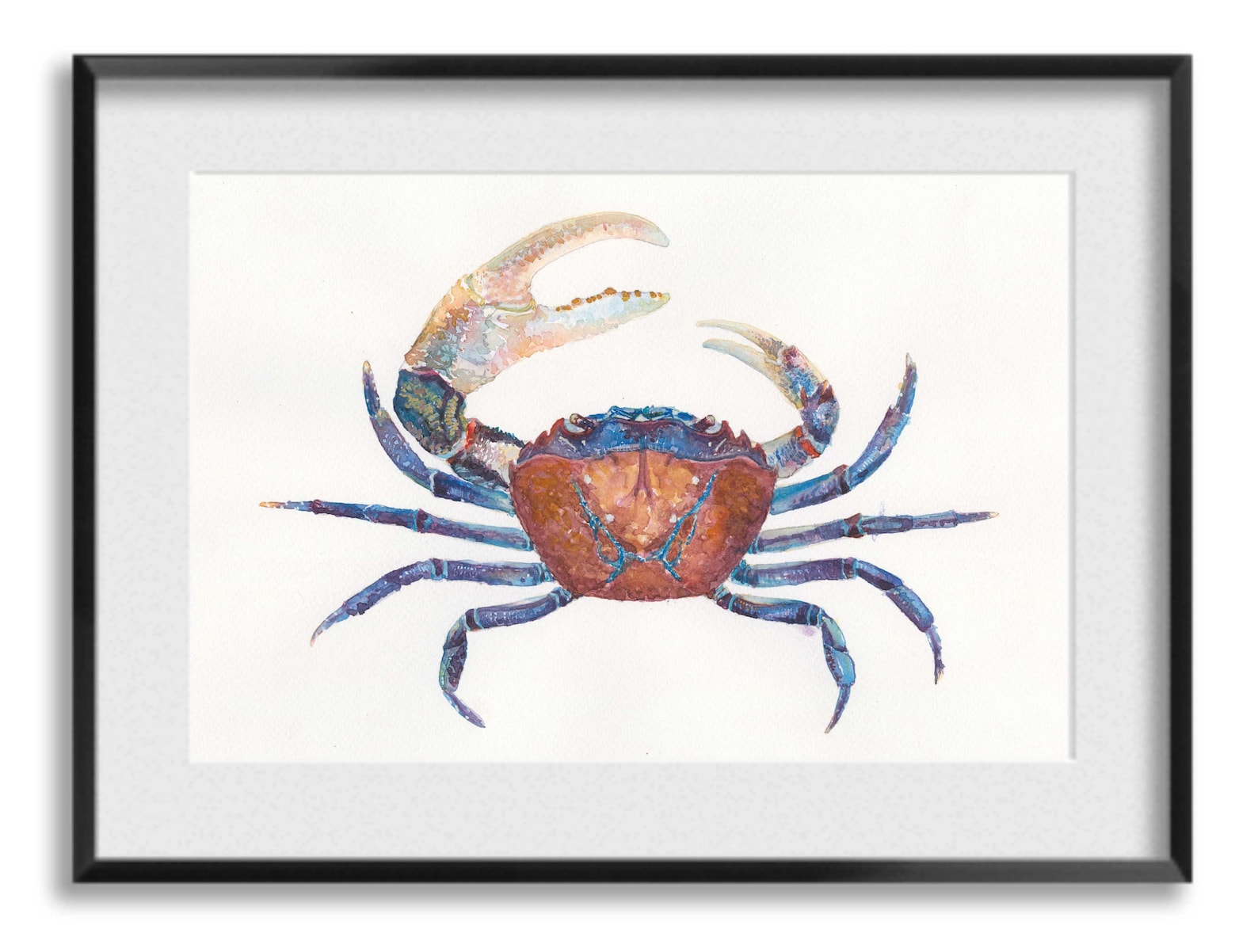 Crab Watercolor Art Print. Crab Wall Decor. Crab Illustration. Etsy