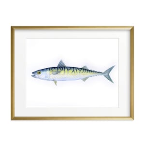 Mackerel Fish Art Print: Coastal Watercolor Painting