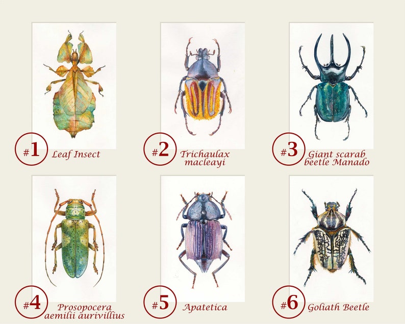 Custom Insects Set. Insects Wall Decor. Insects Art Print. Etsy