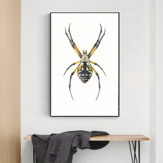 Spider Art Print. Watercolor Spider. Insect Wall Decor Insect - Etsy