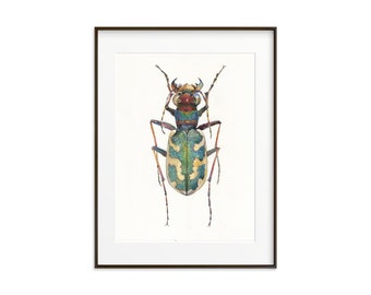 Beetle Art Print. Large Watercolor Bug. Insect Wall Decor. Insect illustration. Boys room decor. Colorful Bug Art Print. Beetle art work