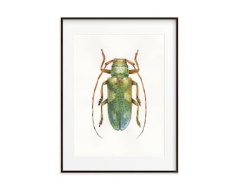 Beetle Art Print. Watercolor Bug. Insect Wall Decor. Insect illustration. Insect home decor. Colorful Bug Art Print. Beetle art work Bug Art