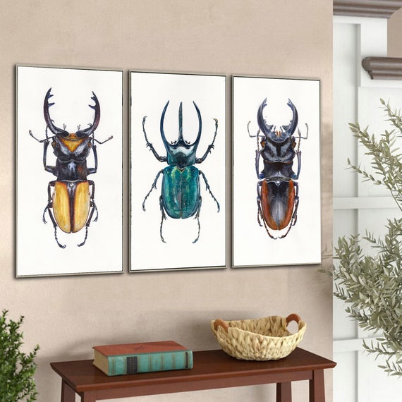 Insect Art Set of 3. Watercolor Prints. Insects Wall Decor. Etsy