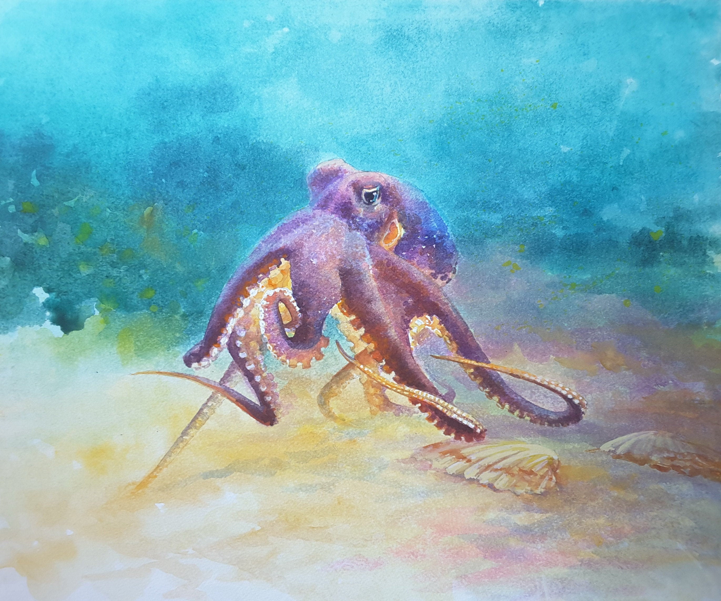 Octopus Watercolor Print Octopus Art Print Watercolor Art - Etsy