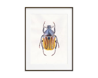 Beetle Wall Decor. Watercolor Giclee Print.  Bug art print. Insect Wall Decor. Insect home decor. Beetle art work. Beetle Art print. Bug art