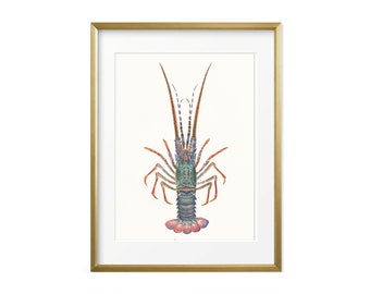 Blue Lobster Art Print from an Original Watercolor by OVS. Lobster wall decor. Nautical art. Beach art print