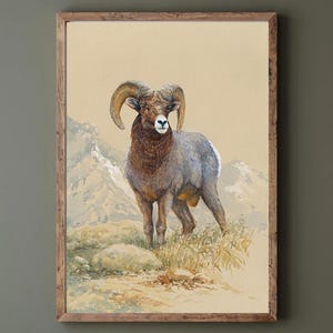 Stampa artistica di pecora bighorn da acquerello originale. Illustrazione di pecora. Decorazione da parete retrò da caccia vintage